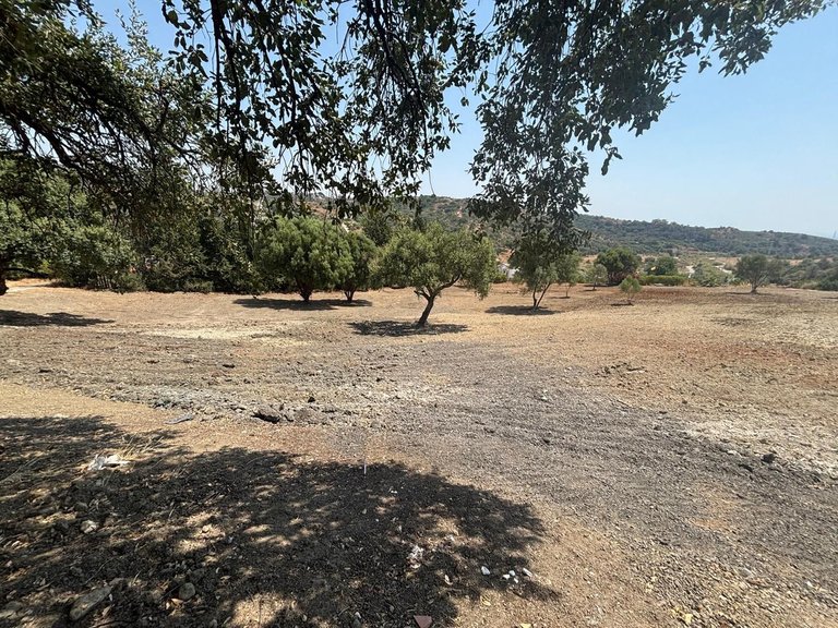 Plot for Sale in Estepona, Malaga 6