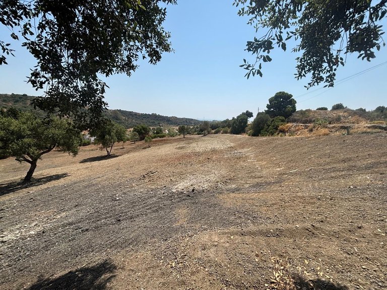 Plot for Sale in Estepona, Malaga 7