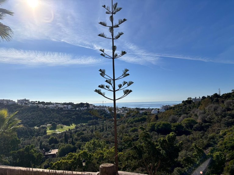 Apartment for Sale in Reserva De Marbella, Malaga 34