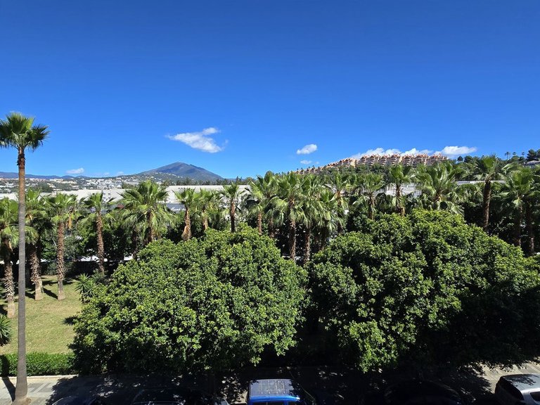 Apartment for Sale in Nueva Andalucía, Malaga 20
