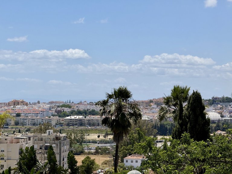 Villa for Sale in Nueva Andalucía, Malaga 22