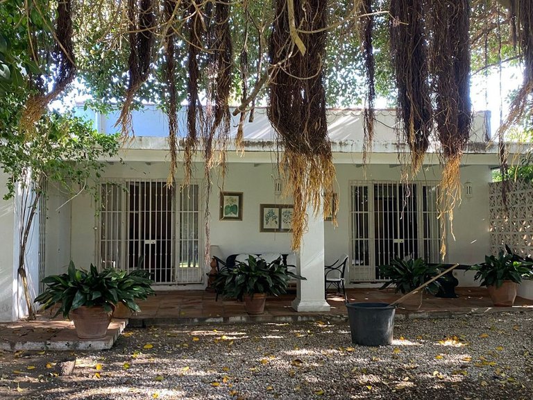 Villa for Sale in Guadalmina Baja, Malaga 15