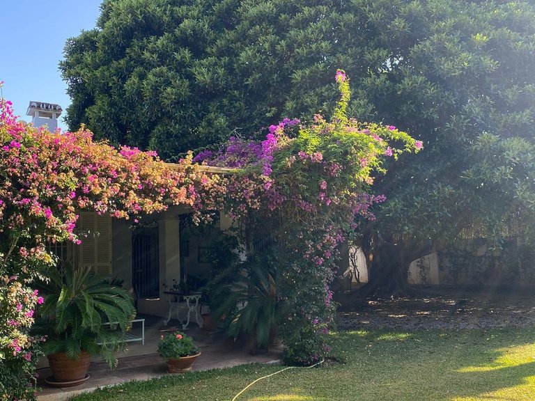 Villa for Sale in Guadalmina Baja, Malaga 8