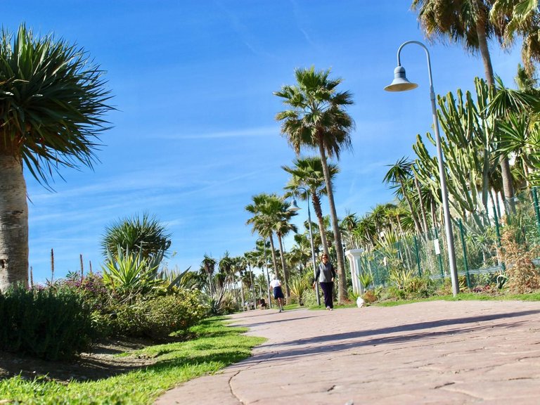Villa for Sale in Costalita, Malaga 8