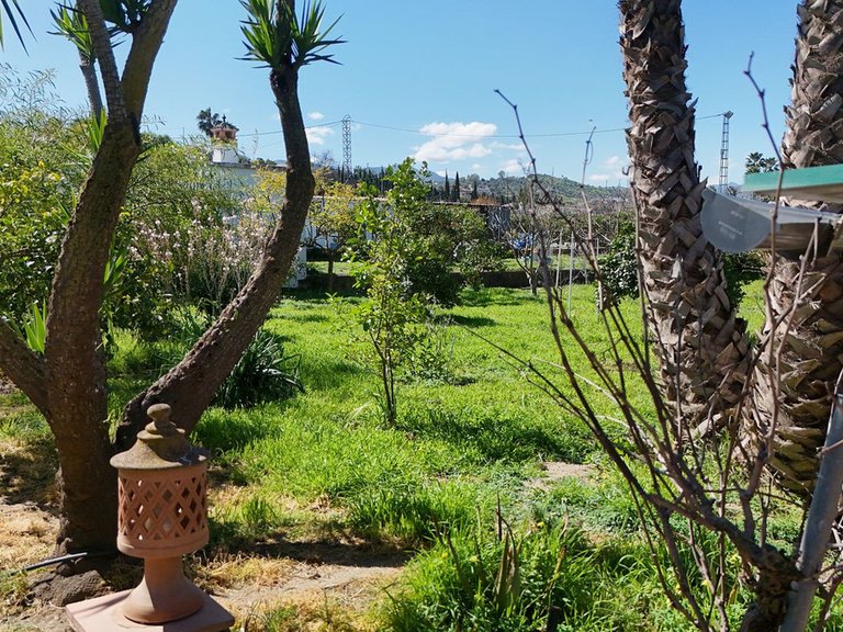 Villa for Sale in Coín, Malaga 10