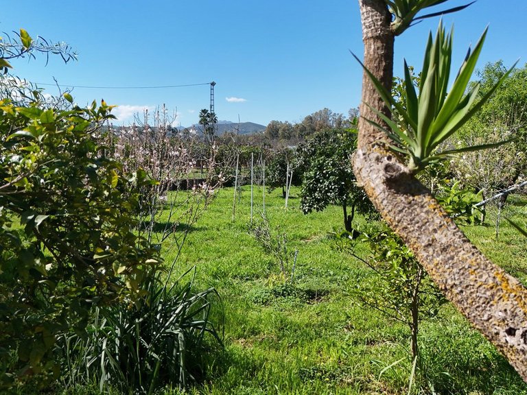 Villa for Sale in Coín, Malaga 11
