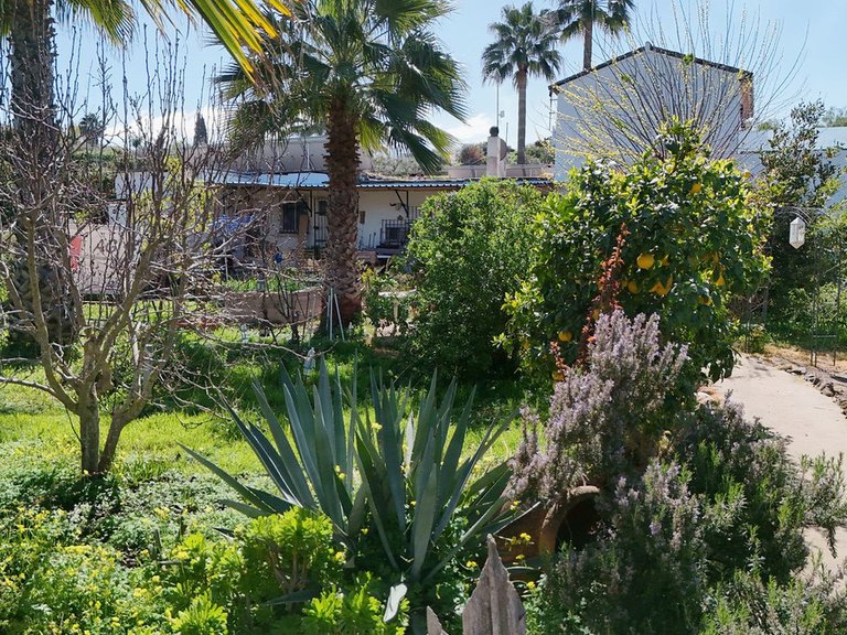 Villa for Sale in Coín, Malaga 9