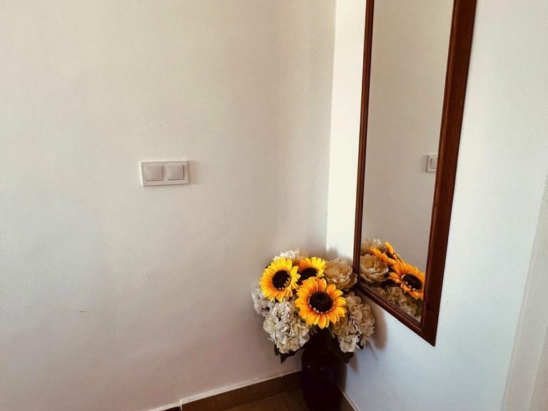 Apartment for Sale in Punta Chullera, Malaga 18
