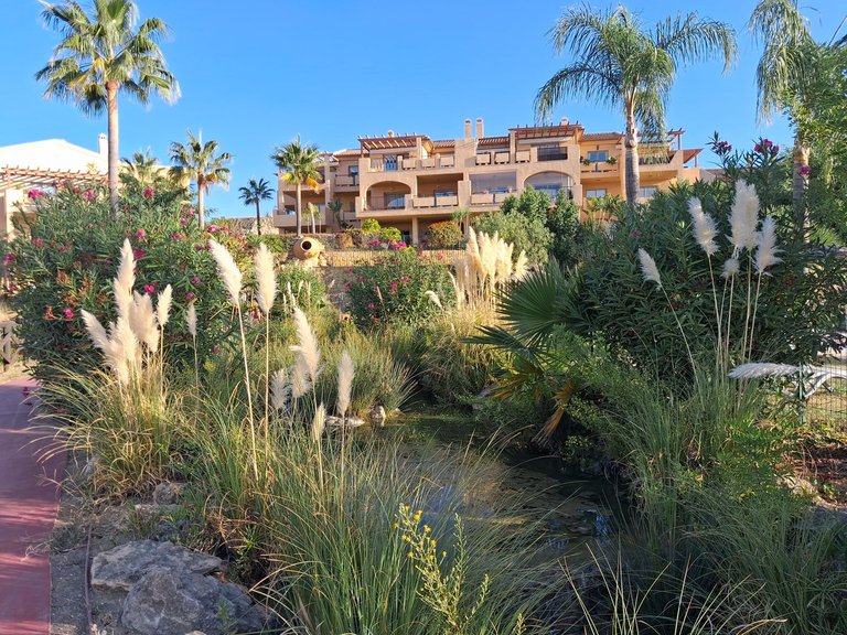 Apartment for Sale in Benahavís, Malaga 16