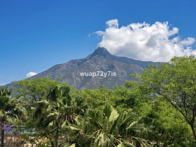 Apartment for Sale in Nueva Andalucía, Malaga 19