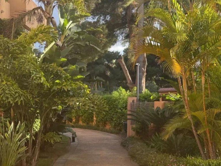 Apartment for Sale in Las Chapas, Malaga 16
