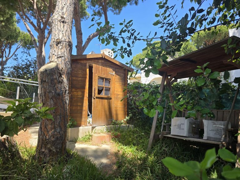 Villa for Sale in Hacienda Las Chapas, Malaga 31