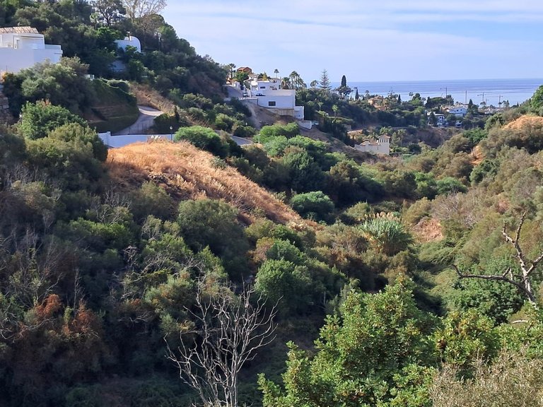 Plot for Sale in Marbella, Malaga 2