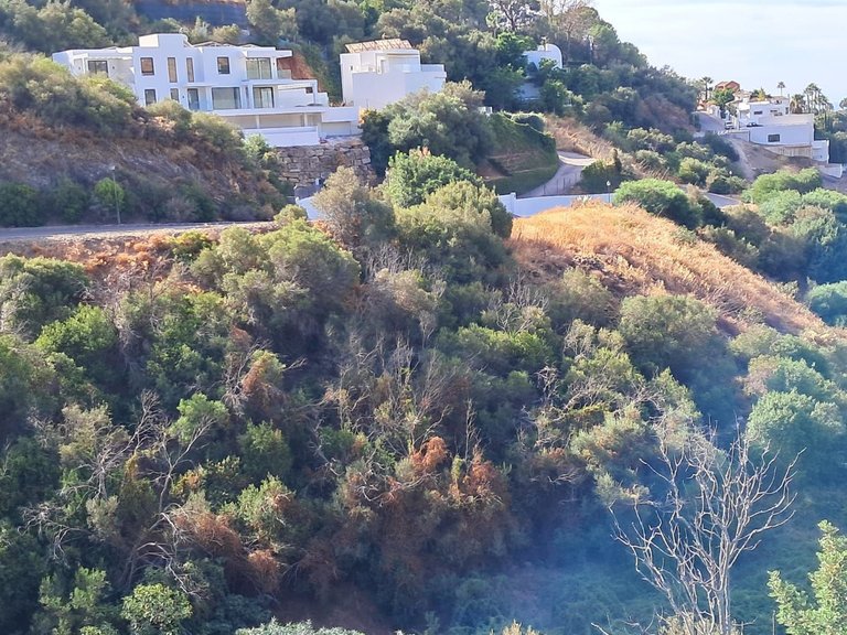 Plot for Sale in Marbella, Malaga 3