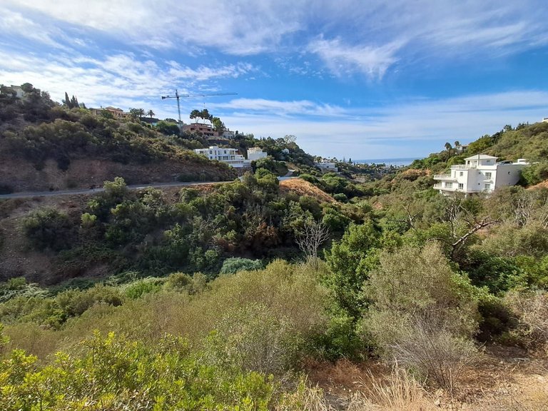 Plot for Sale in Marbella, Malaga 4