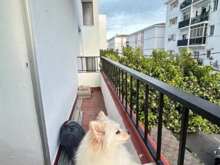 Apartment for Sale in Estepona, Malaga 9