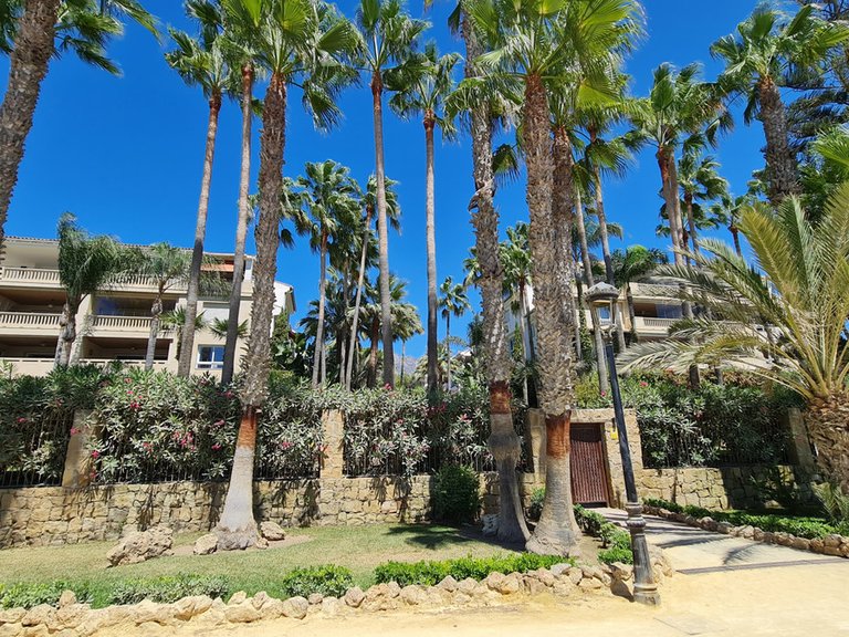 Apartment for Sale in The Golden Mile, Malaga 1