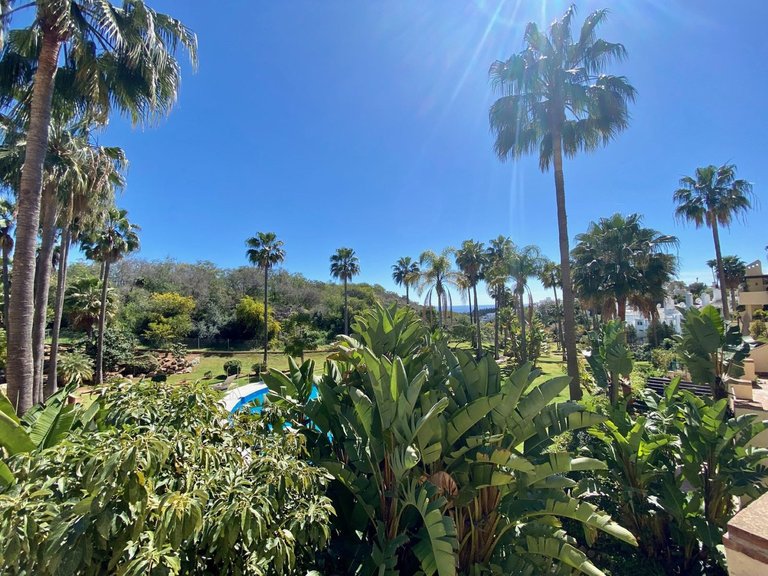 Apartment for Sale in The Golden Mile, Malaga 34