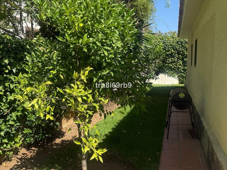 Villa for Sale in Benamara, Malaga 24