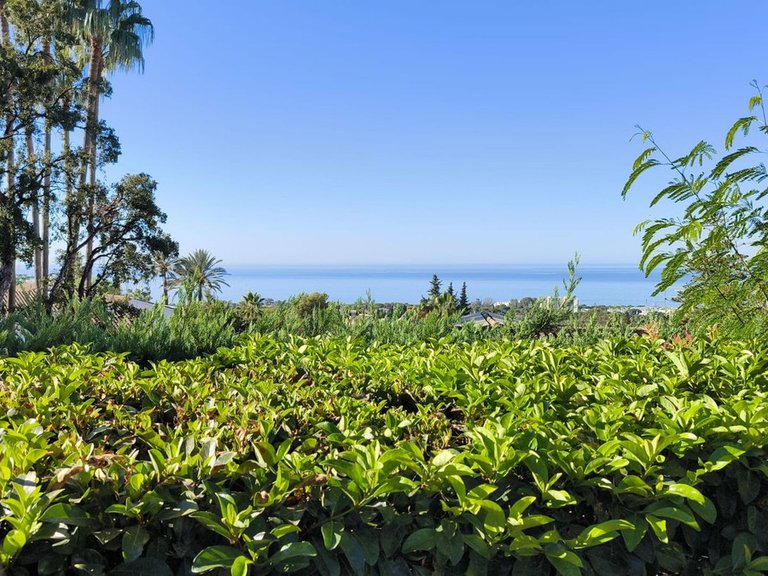 Villa for Sale in El Rosario, Malaga 70