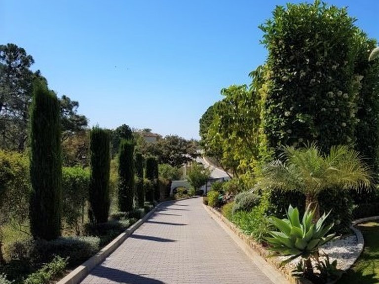 Villa for Sale in Benahavís, Malaga 32