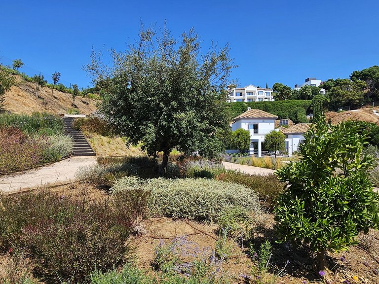 Villa for Sale in Benahavís, Malaga 36
