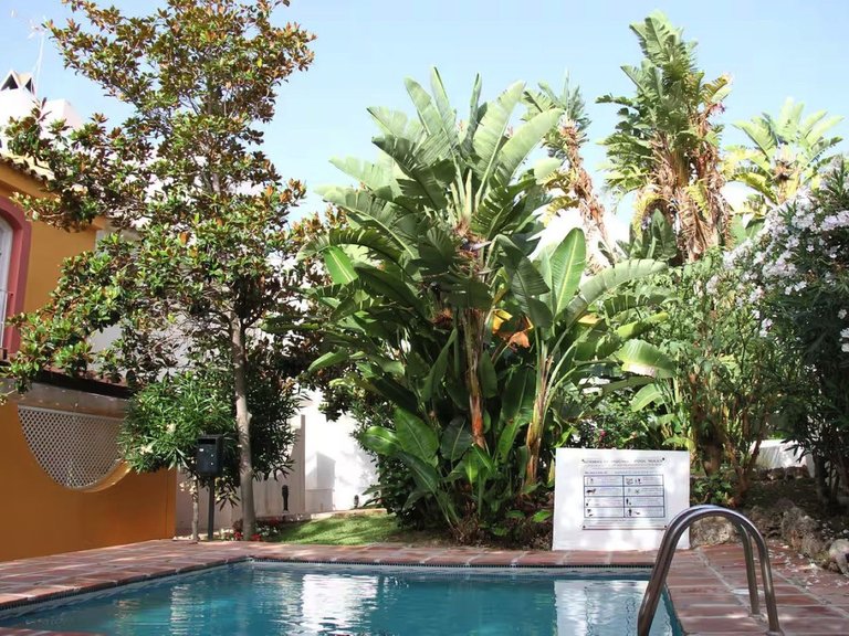 Villa for Sale in Nueva Andalucía, Malaga 18