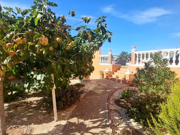 Villa for Sale in Puerto De La Torre, Malaga 39