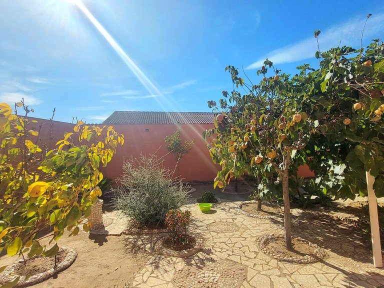 Villa for Sale in Puerto De La Torre, Malaga 40