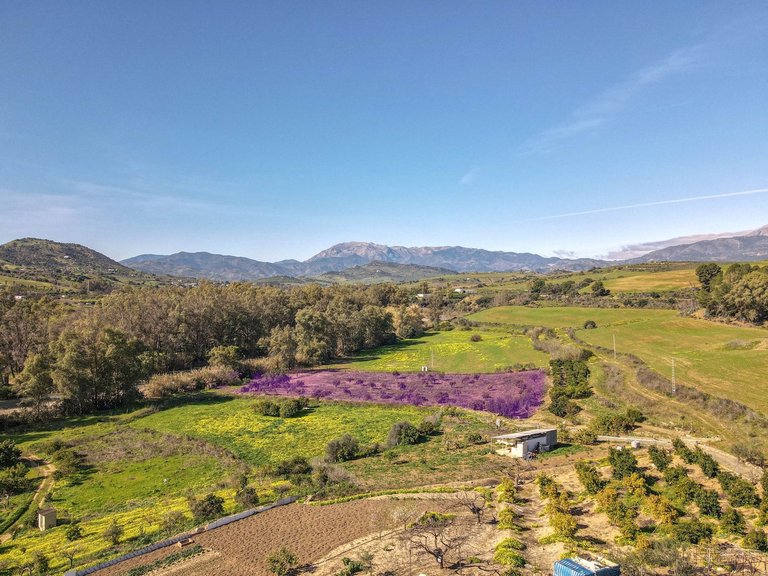 Villa for Sale in Coín, Malaga 33