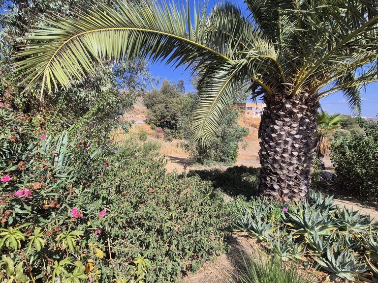 Villa for Sale in Coín, Malaga 38