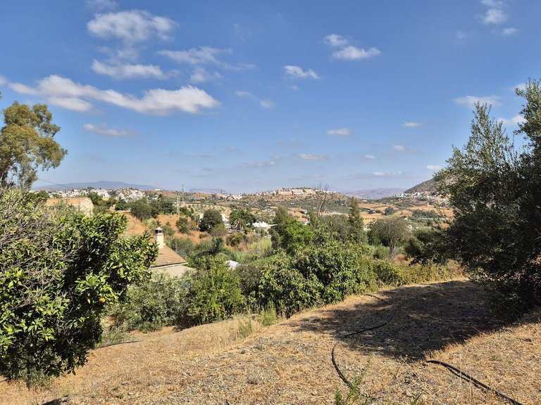Villa for Sale in Coín, Malaga 69
