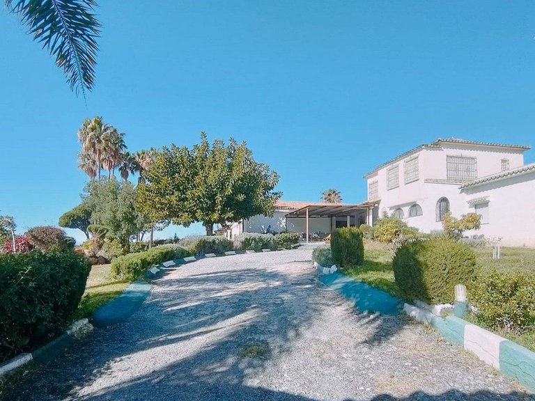 Villa for Sale in Marbella, Malaga 4