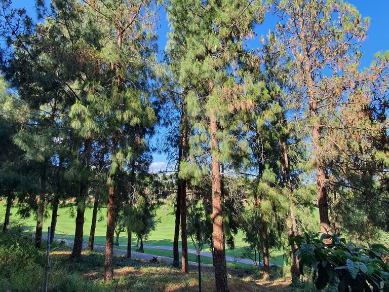 Apartment for Sale in Torrequebrada, Malaga 38