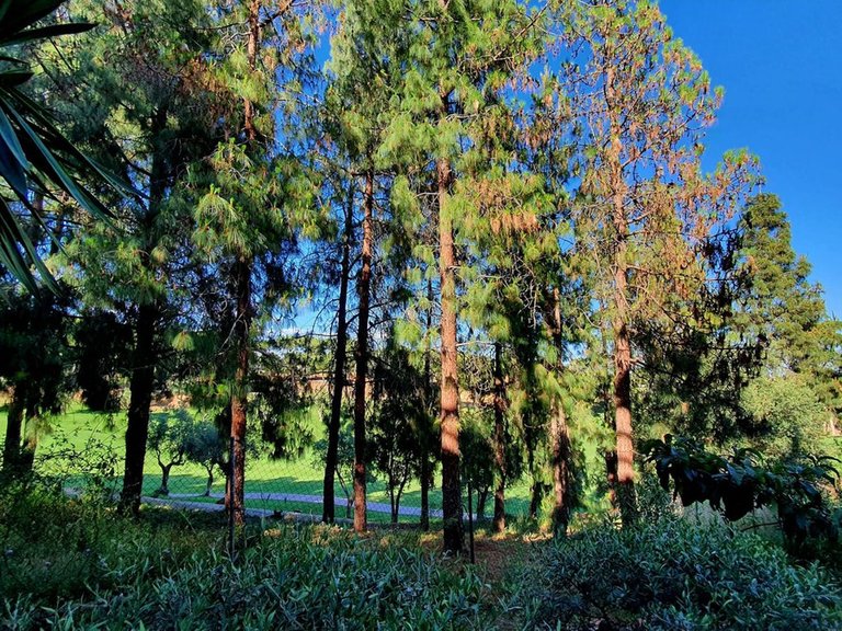 Apartment for Sale in Torrequebrada, Malaga 9
