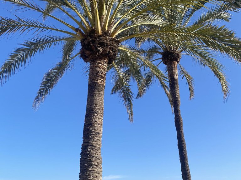Apartment for Sale in Benalmadena, Malaga 34