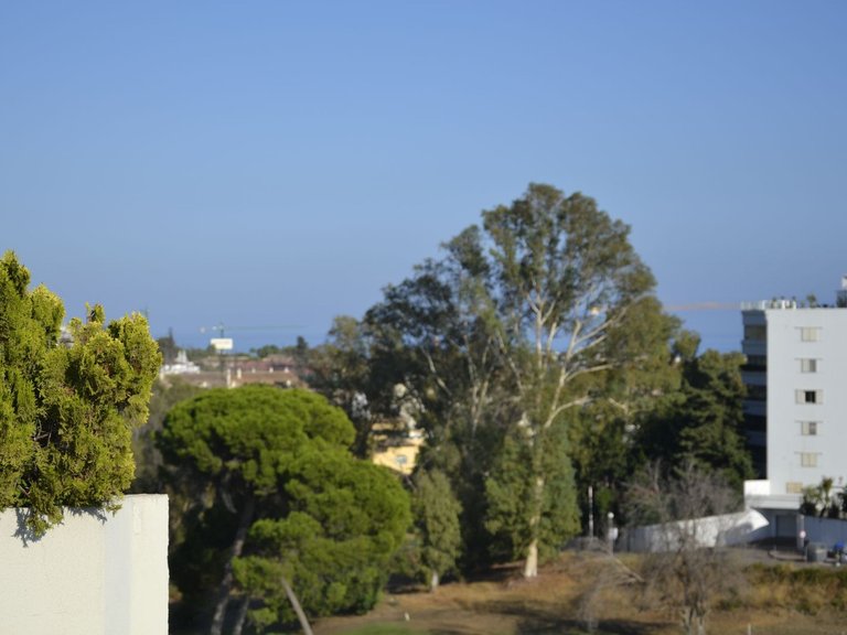 Apartment for Sale in Guadalmina Alta, Malaga 56