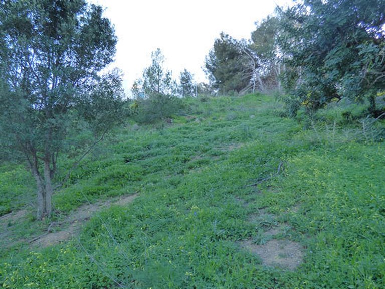 Plot for Sale in Benalmadena Pueblo, Malaga 4