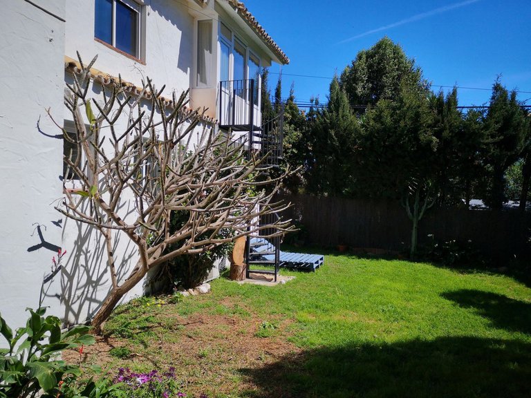 Villa for Sale in Mijas Costa, Malaga 2