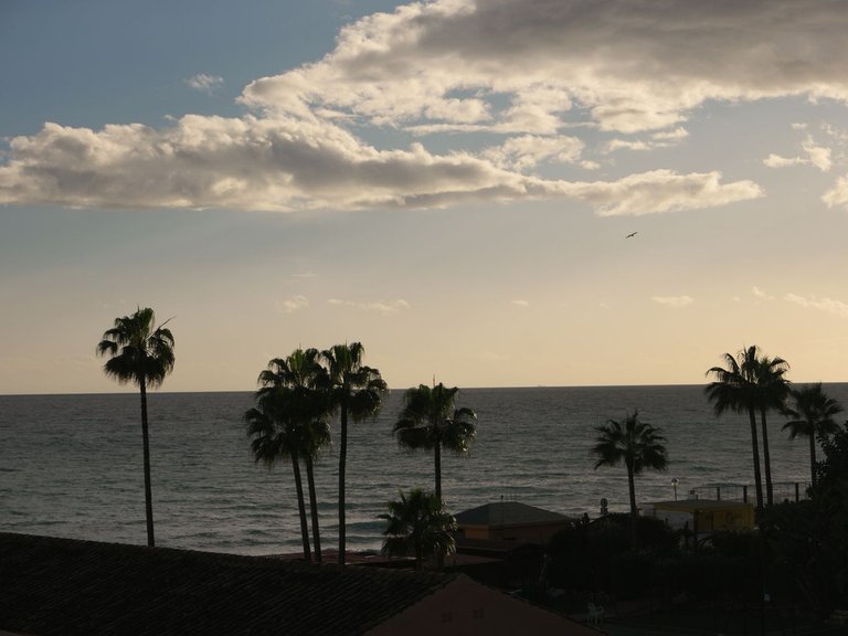 Apartment for Sale in Calahonda, Malaga 40