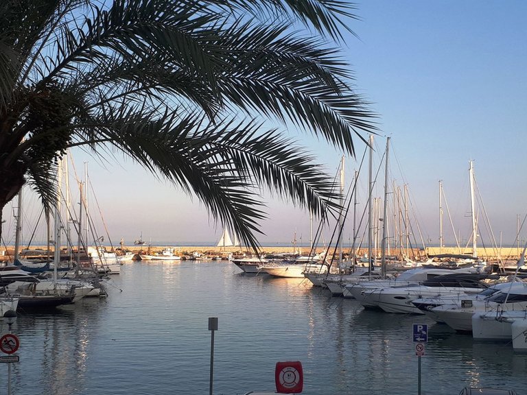 Apartment for Sale in Estepona, Malaga 19