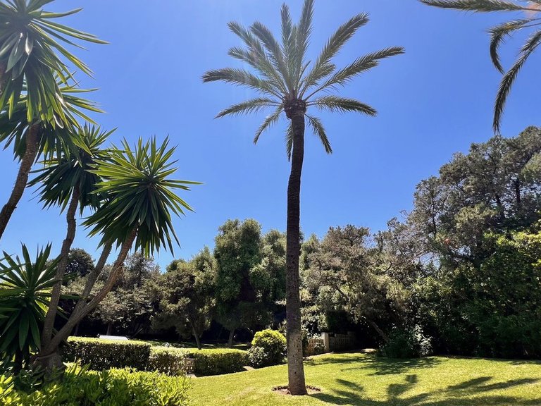 Apartment for Sale in Marbesa, Malaga 14
