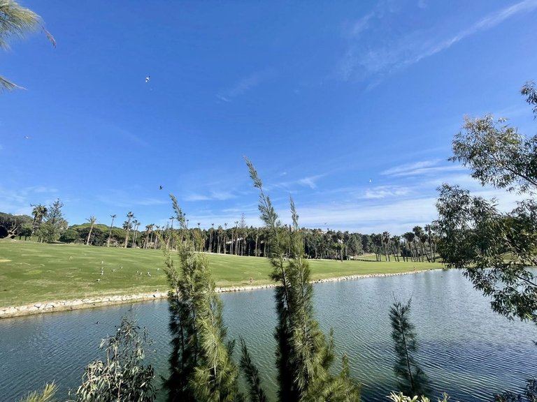 Villa for Sale in Benalmadena, Malaga 9