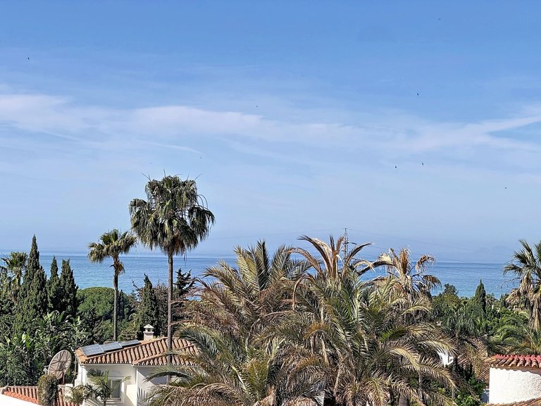 Villa for Sale in Nagüeles, Malaga 111