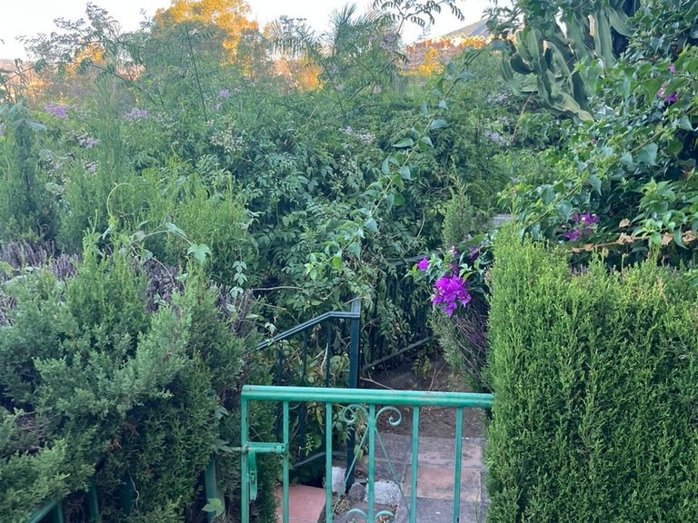 Apartment for Sale in Nueva Andalucía, Malaga 17