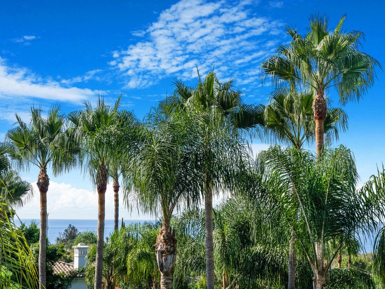Villa for Sale in Costa del Sol The Golden Mile, Malaga 25