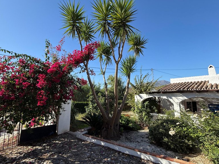 Villa for Sale in Coín, Malaga 2