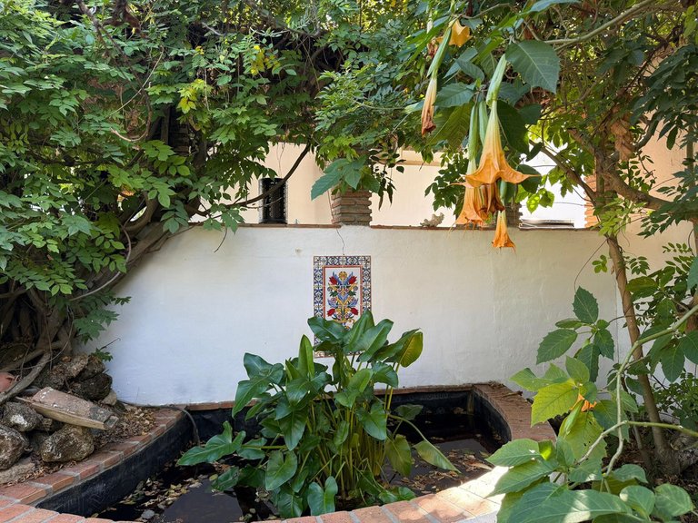 Villa for Sale in Coín, Malaga 42