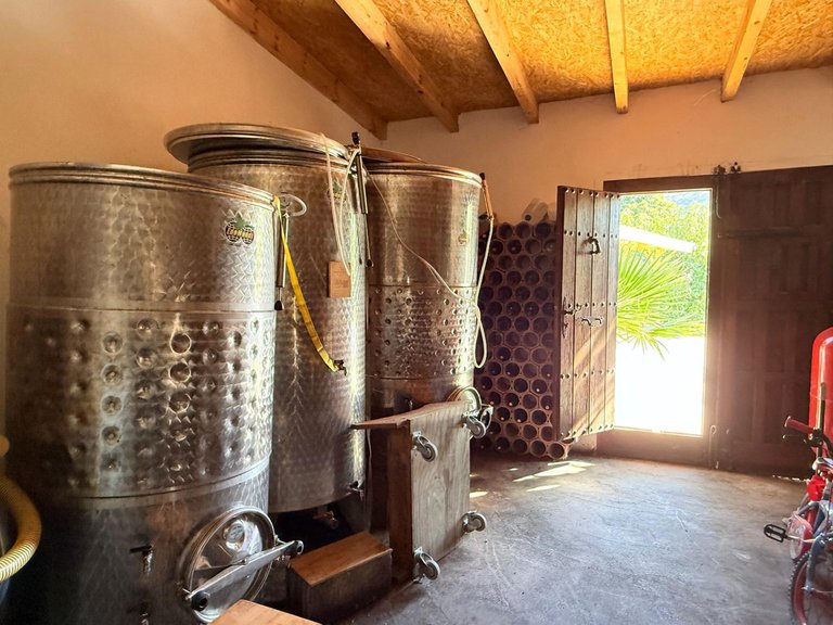 Villa for Sale in Coín, Malaga 50