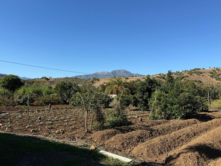 Villa for Sale in Coín, Malaga 56